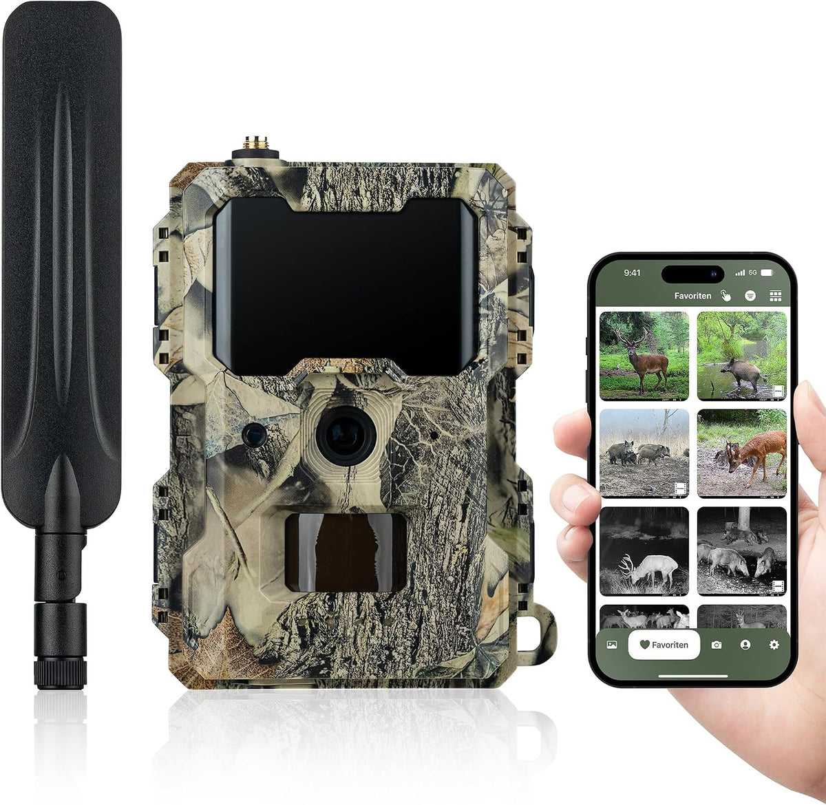 DÖRR Überwachungskamera, Schwarz, Wildkamera Cloud Mini 4G, Simlockfrei