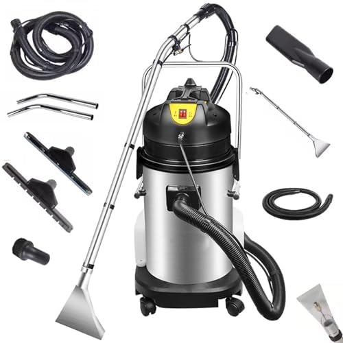 SWENEEN Dampfsauger für Teppichböden, 11 m, 30 l, Schwarz, Gewerblicher Teppichdampfreiniger, Doppelwassertank mit Sprüh- und Absaugfunktion